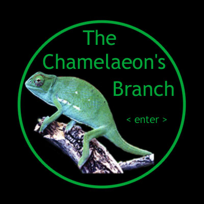 Chamelaeon's Branch 3.0